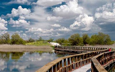 Parque Nacional de Las Tablas de Daimiel