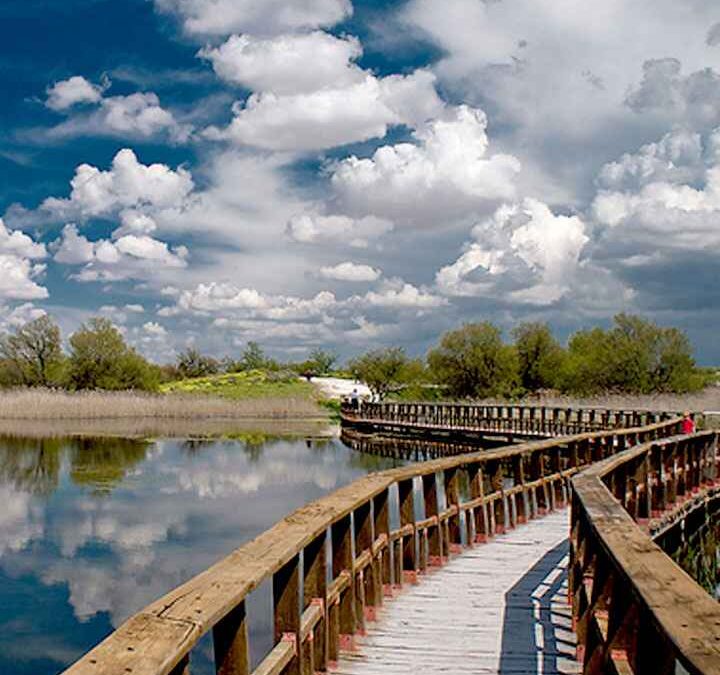 Parque Nacional de Las Tablas de Daimiel